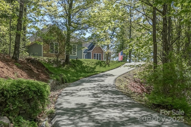 883 Big Raven Ln, Saluda, NC 28773 - photo 43