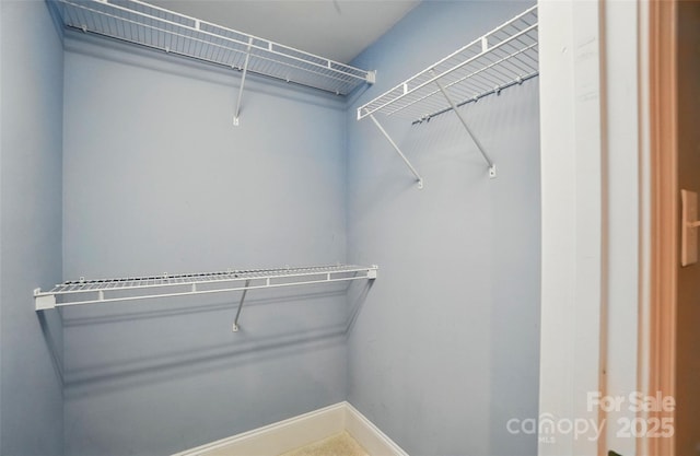 view of walk in closet