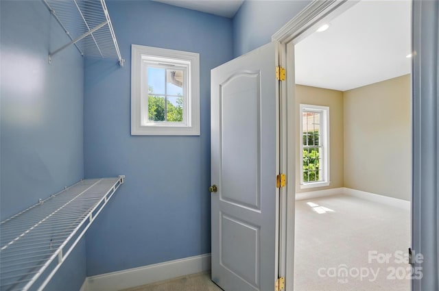 spacious closet featuring carpet