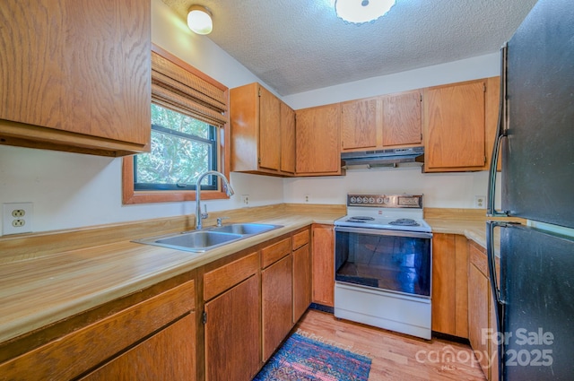 kitchen with white range with electric cooktop, a sink, light countertops, freestanding refrigerator, and under cabinet range hood