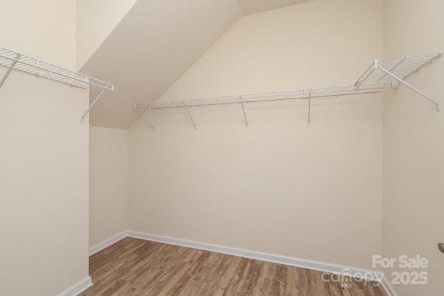 309 Kentmere Ln, Clover, SC 29710 - spacious closet with lofted ceiling and wood finished floors