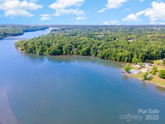 aerial view with a water view and a view of trees