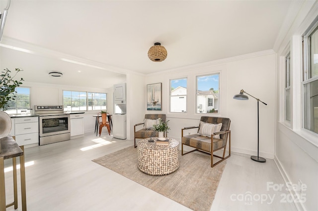 living area featuring crown molding and light wood-style flooring