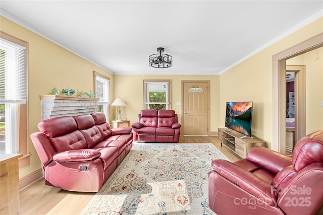 1104 Venus St, Kannapolis, NC 28083 - living area with light wood finished floors, ornamental molding, and baseboards