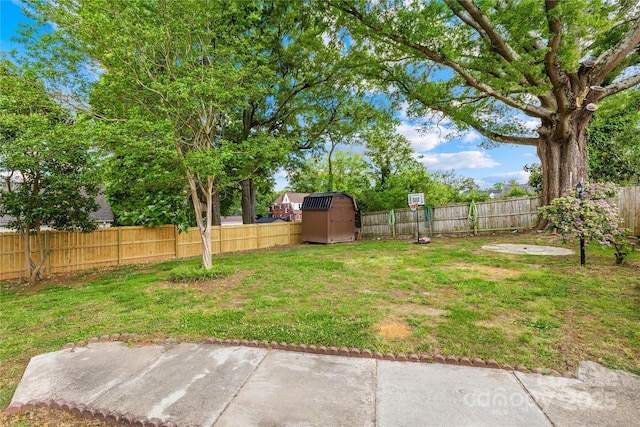 1104 Venus St, Kannapolis, NC 28083 - view of yard with a storage shed, an outdoor structure, and a patio area