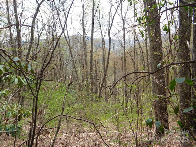 00 Bent Tree Rd, Maggie Valley, NC 28751