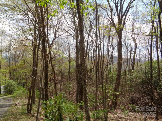 00 Bent Tree Rd, Maggie Valley, NC 28751