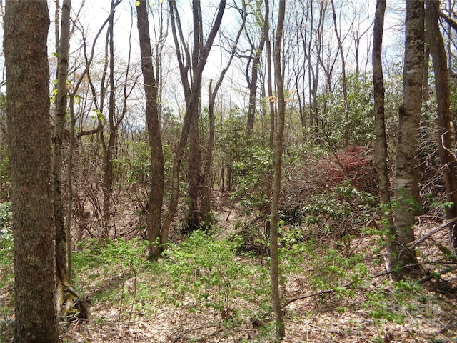 00 Bent Tree Rd, Maggie Valley, NC 28751