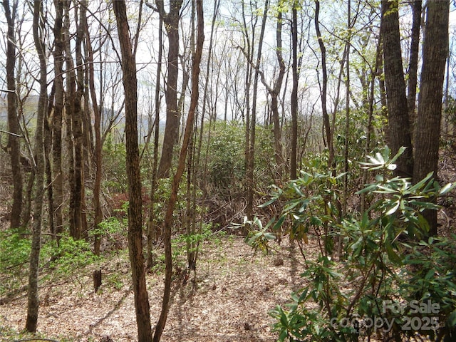 00 Bent Tree Rd, Maggie Valley, NC 28751