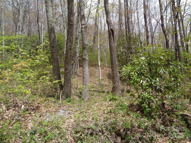 00 Bent Tree Rd, Maggie Valley, NC 28751