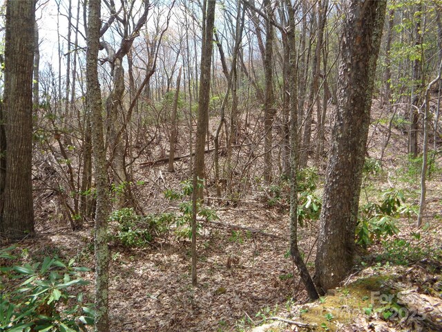 00 Bent Tree Rd, Maggie Valley, NC 28751