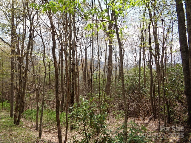 00 Bent Tree Rd, Maggie Valley, NC 28751