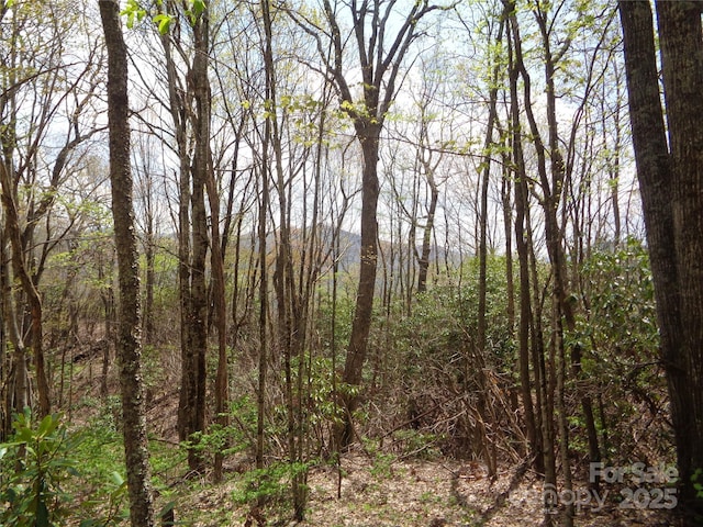 00 Bent Tree Rd, Maggie Valley, NC 28751
