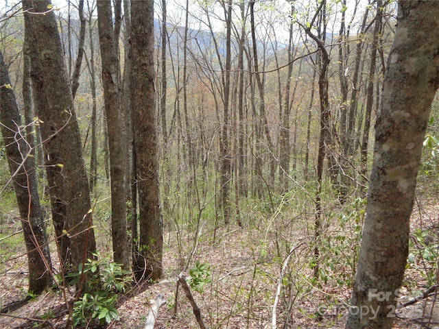 00 Bent Tree Rd, Maggie Valley, NC 28751