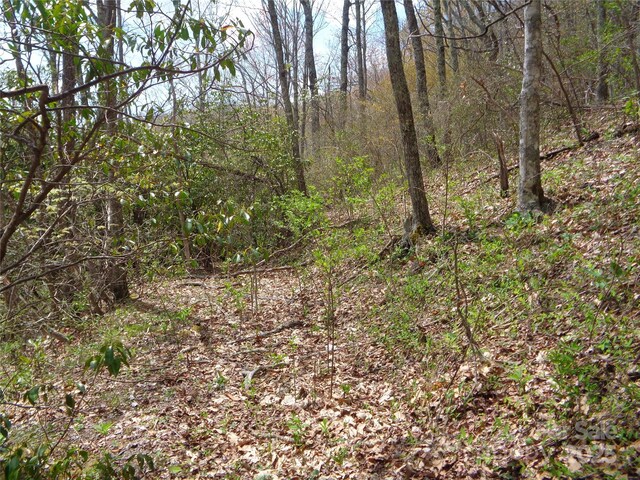 00 Bent Tree Rd, Maggie Valley, NC 28751