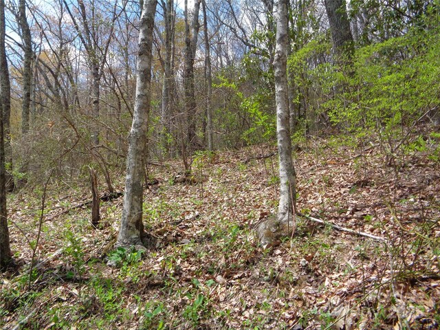 00 Bent Tree Rd, Maggie Valley, NC 28751
