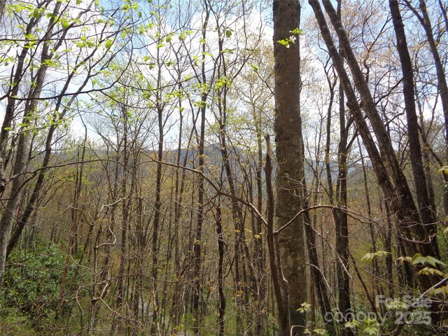 00 Bent Tree Rd, Maggie Valley, NC 28751