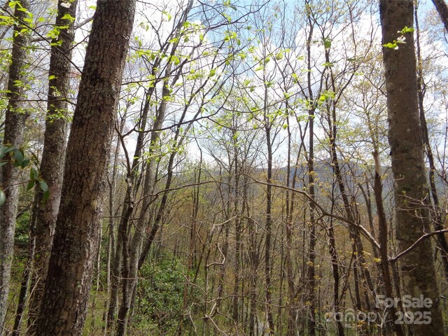 00 Bent Tree Rd, Maggie Valley, NC 28751