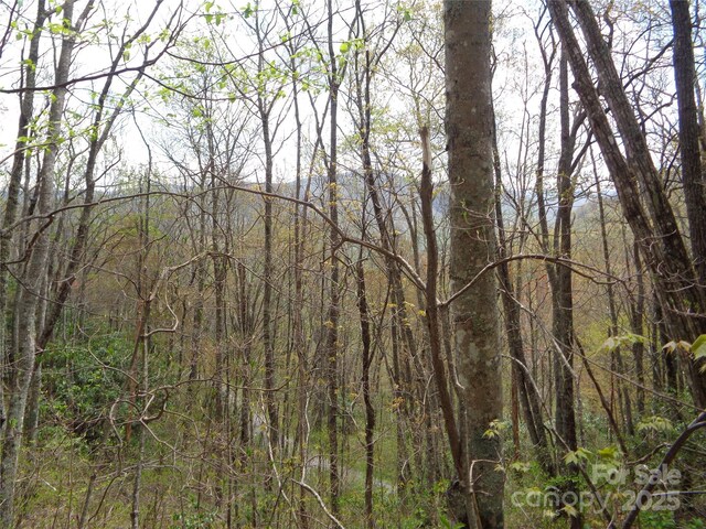 00 Bent Tree Rd, Maggie Valley, NC 28751