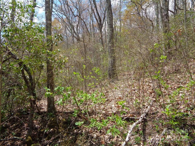 00 Bent Tree Rd, Maggie Valley, NC 28751