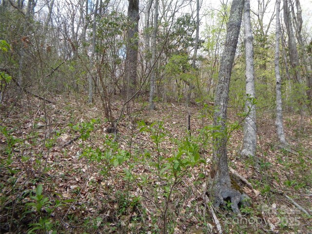 00 Bent Tree Rd, Maggie Valley, NC 28751