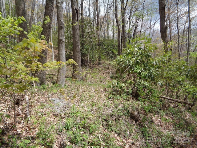 00 Bent Tree Rd, Maggie Valley, NC 28751