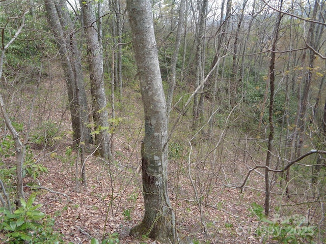 00 Bent Tree Rd, Maggie Valley, NC 28751