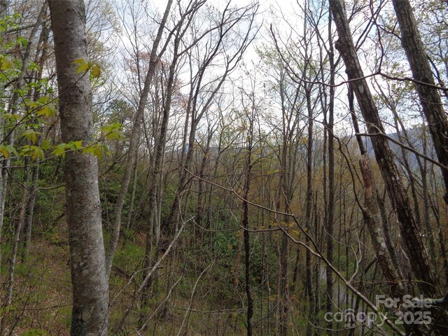 00 Bent Tree Rd, Maggie Valley, NC 28751