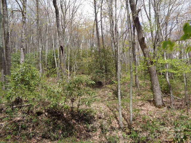 00 Bent Tree Rd, Maggie Valley, NC 28751