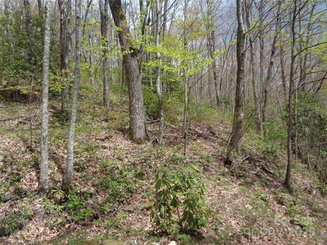 00 Bent Tree Rd, Maggie Valley, NC 28751