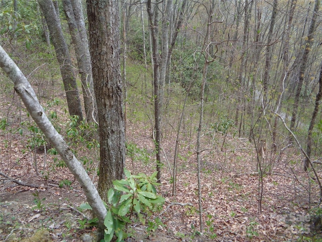 00 Bent Tree Rd, Maggie Valley, NC 28751