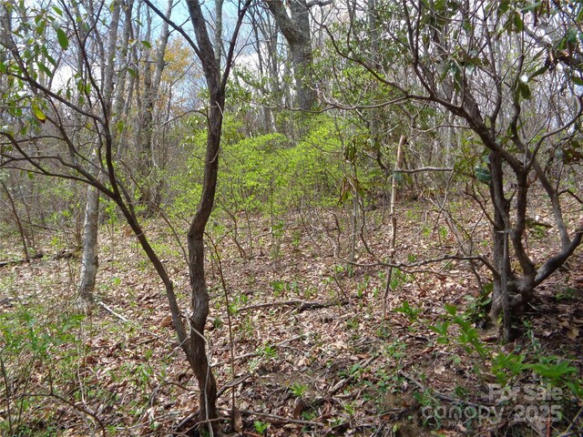 00 Bent Tree Rd, Maggie Valley, NC 28751