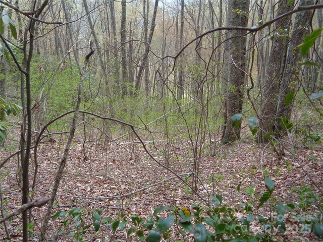 00 Bent Tree Rd, Maggie Valley, NC 28751