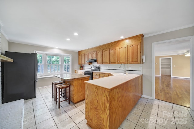 1723 Baskins Hill Rd, Heath Springs, SC 29058 - kitchen featuring a sink, freestanding refrigerator, light tile patterned floors, black range with electric cooktop, and ornamental molding