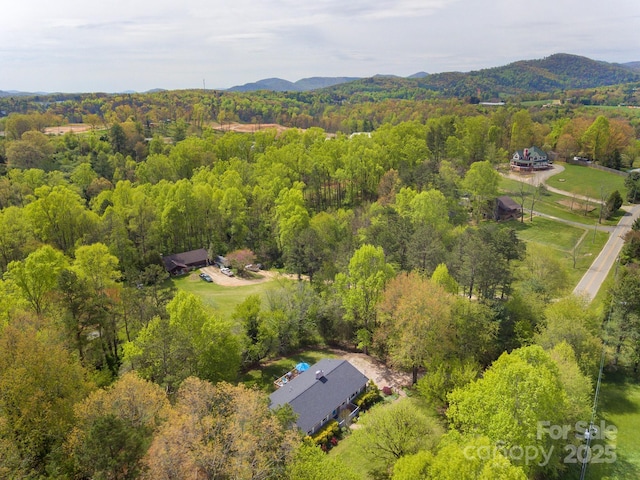 143 W Oakview Rd, Asheville, NC 28806 - photo 5