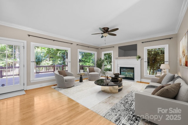 2608 Carmarthen Ct, Matthews, NC 28104 - living room with healthy amount of natural light, wood finished floors, a fireplace with flush hearth, and ornamental molding
