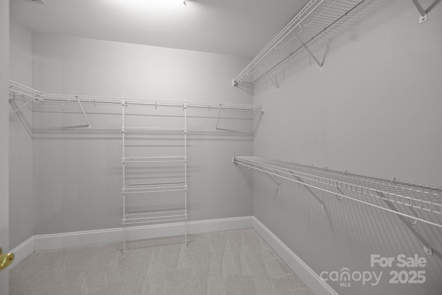 2608 Carmarthen Ct, Matthews, NC 28104 - walk in closet featuring carpet floors