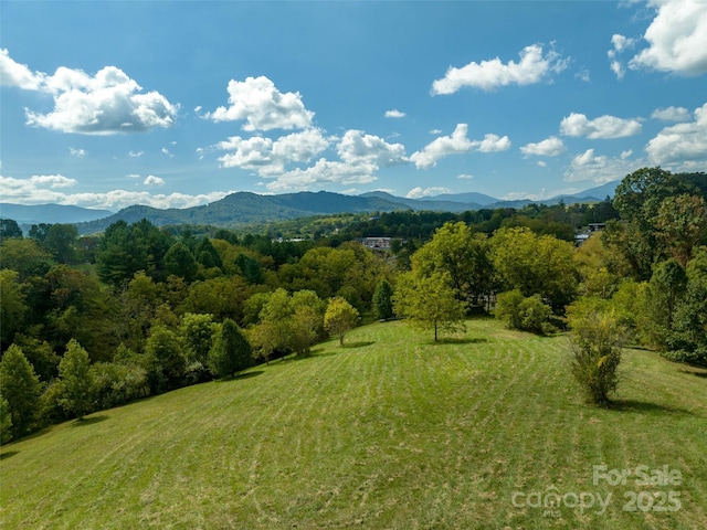 74 Buckeye Cove Rd, Canton, NC 28716