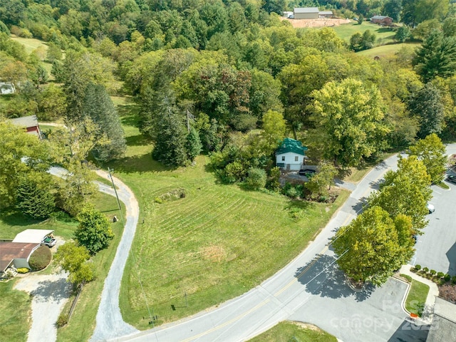 74 Buckeye Cove Rd, Canton, NC 28716