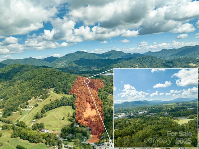 74 Buckeye Cove Rd, Canton, NC 28716