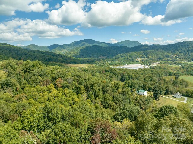 74 Buckeye Cove Rd, Canton, NC 28716