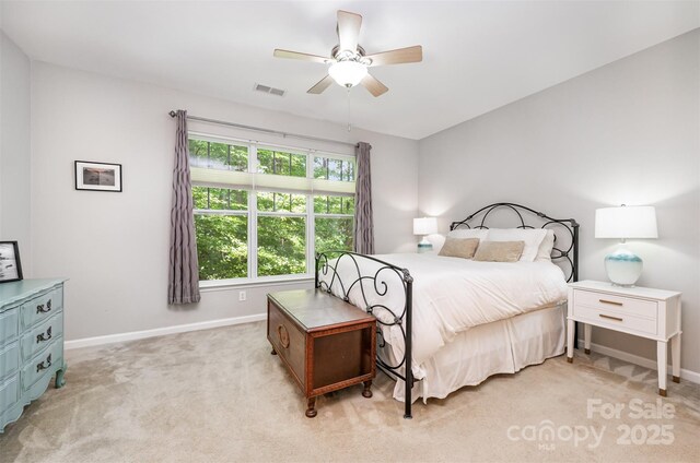 15318 Coventry Court Ln, Charlotte, NC 28277 - photo 15