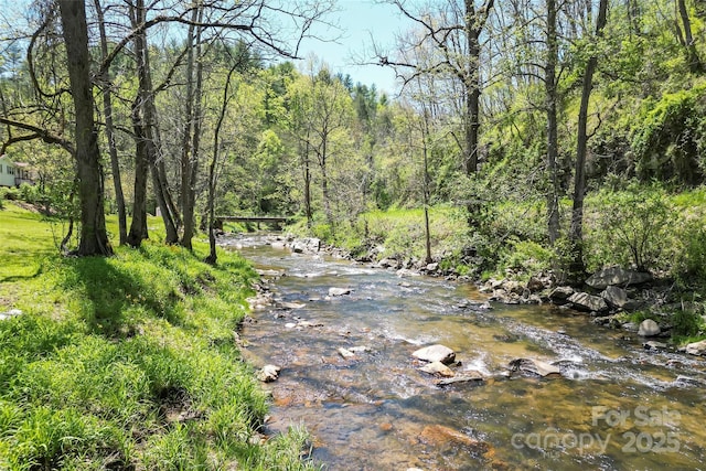 water view featuring a wooded view