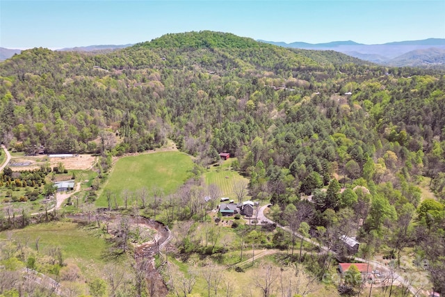 bird's eye view with a view of trees and a mountain view
