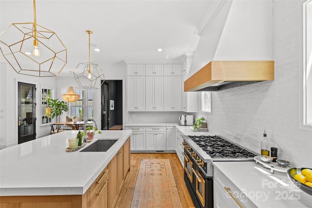 2509 Bay St, Charlotte, NC 28205 - kitchen featuring custom range hood, range with two ovens, a sink, light wood-type flooring, and healthy amount of natural light