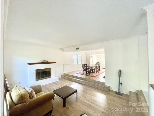 944 Evian Ln, Matthews, NC 28015 - living area featuring wood finished floors, a glass covered fireplace, and baseboards