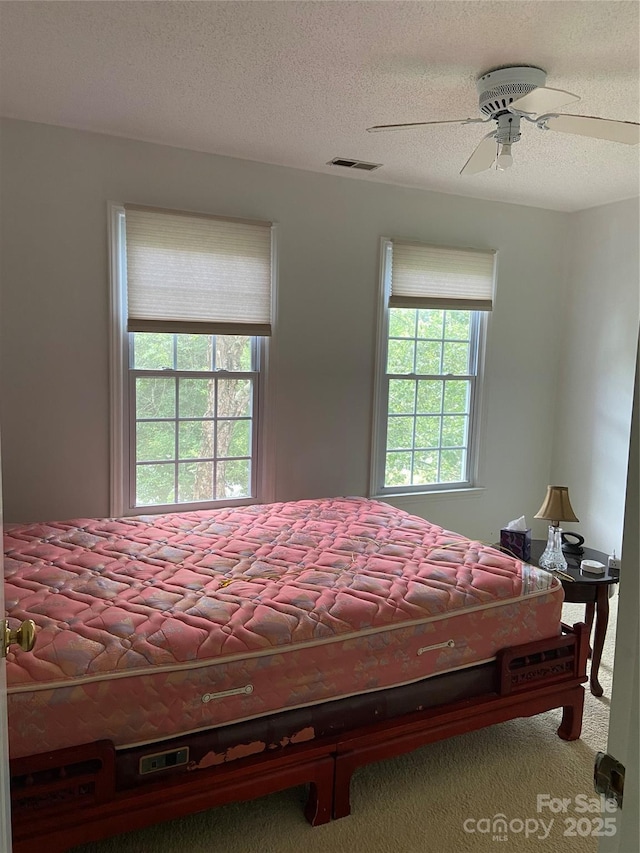 944 Evian Ln, Matthews, NC 28015 - bedroom featuring multiple windows, a textured ceiling, carpet, and ceiling fan
