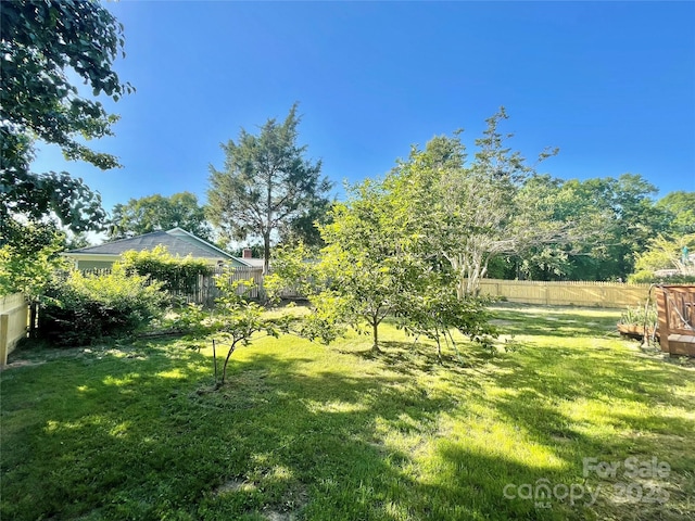 944 Evian Ln, Matthews, NC 28015 - view of yard