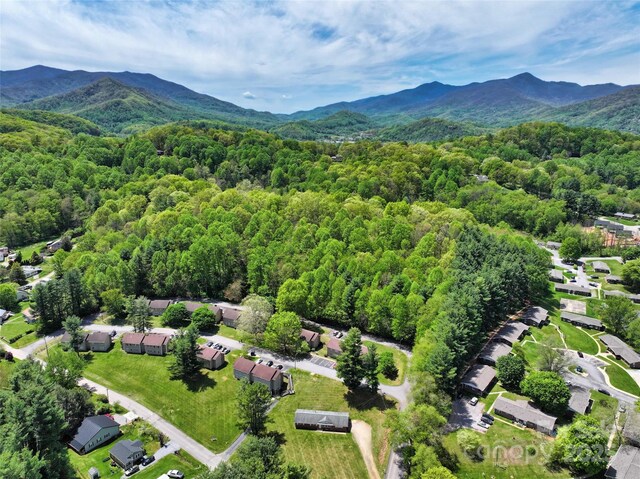 9999 Cavalier Dr, Waynesville, NC 28786