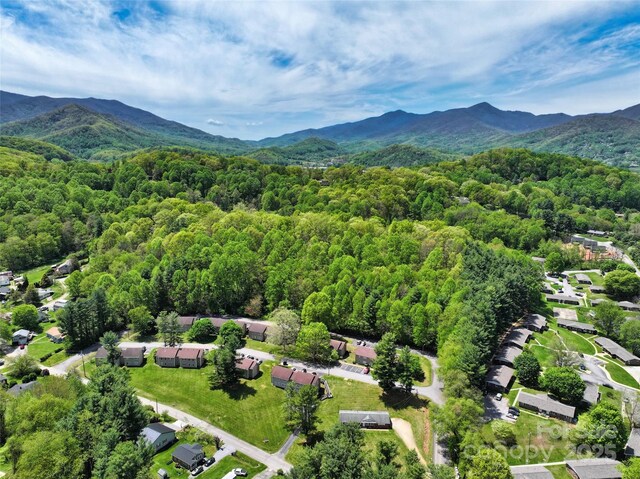 9999 Cavalier Dr, Waynesville, NC 28786